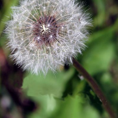 the-quest-to-be-better