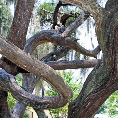 what else can i do (Demo)