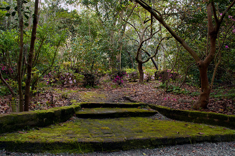 a_typical_day (Demo)