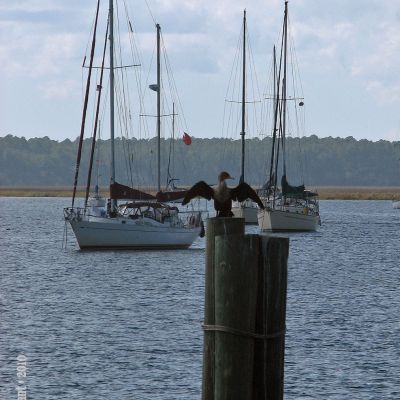 do_you_think_of_mi? (Demo)