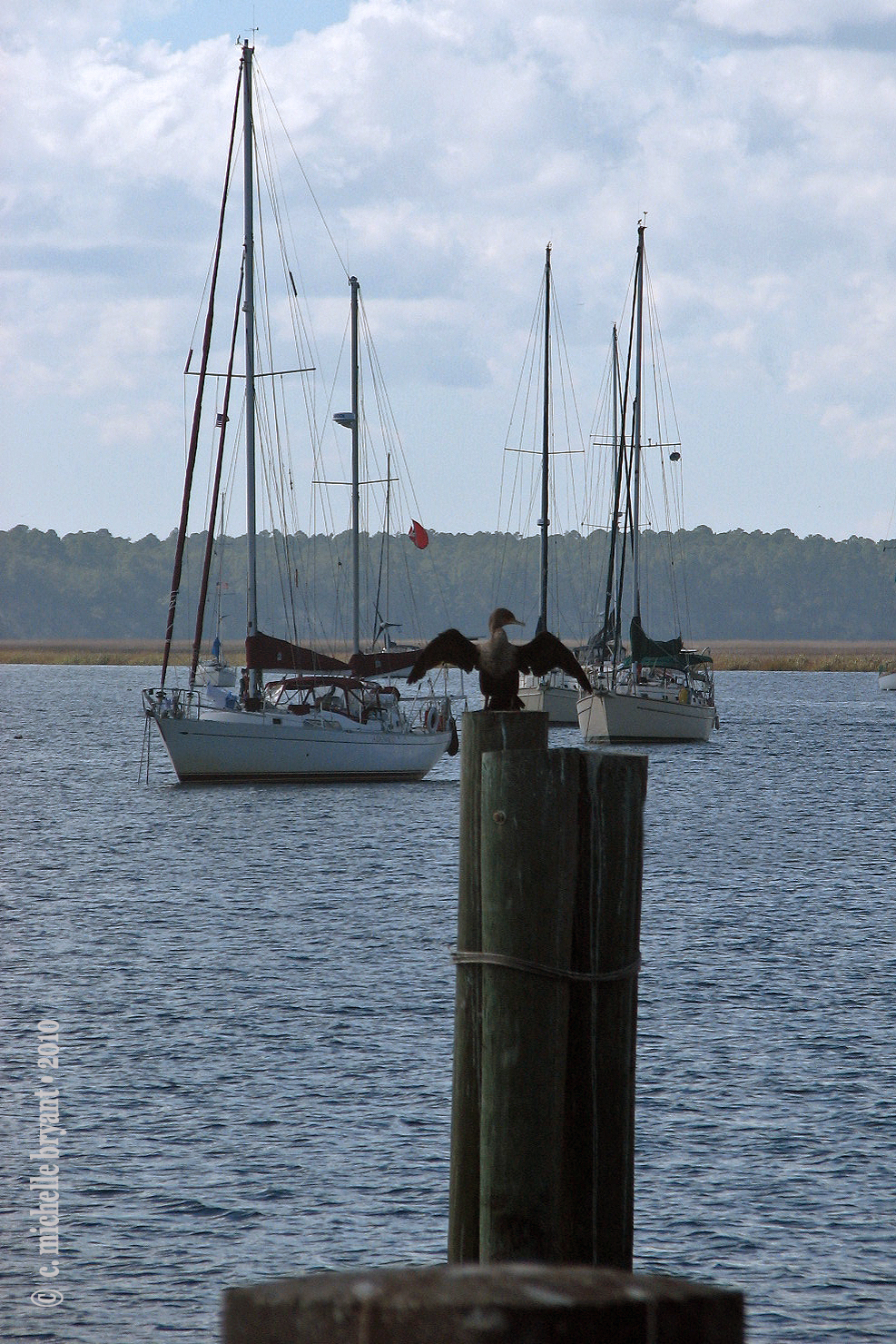 do_you_think_of_mi? (Demo)