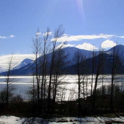 dreams_come_true (Demo)