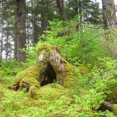 ibrokedownandletyouin