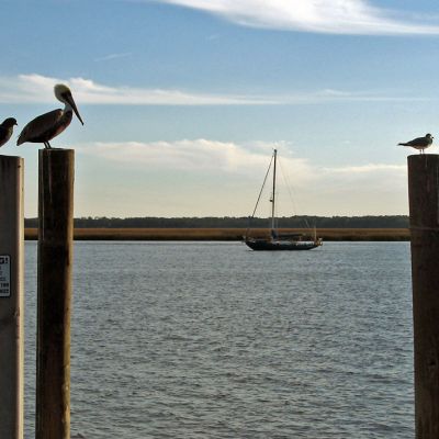 isthereanything (Demo)