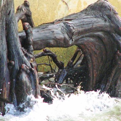 losingcontroloveryou (Demo)