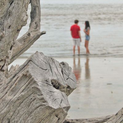 morethanmyfriend (Demo)