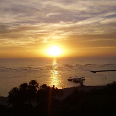 OLYMPUS DIGITAL CAMERA 1