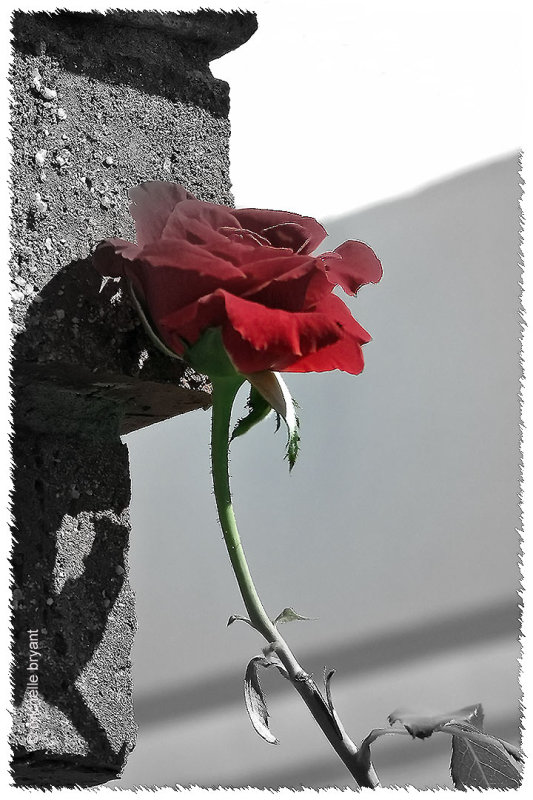 shootyourarrows (Demo)