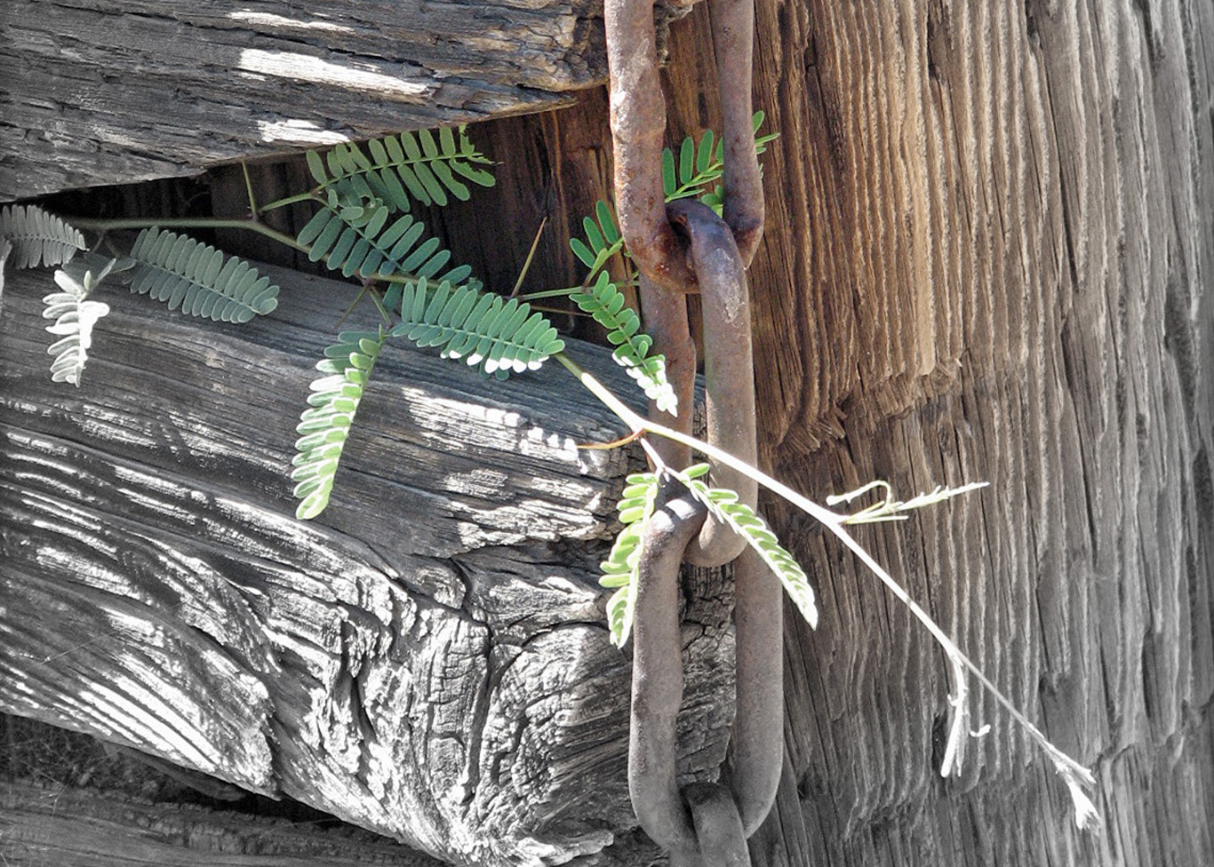 thesafetyofyourarms (Demo)