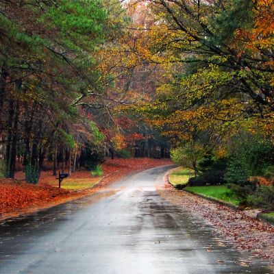 this undiscovered road