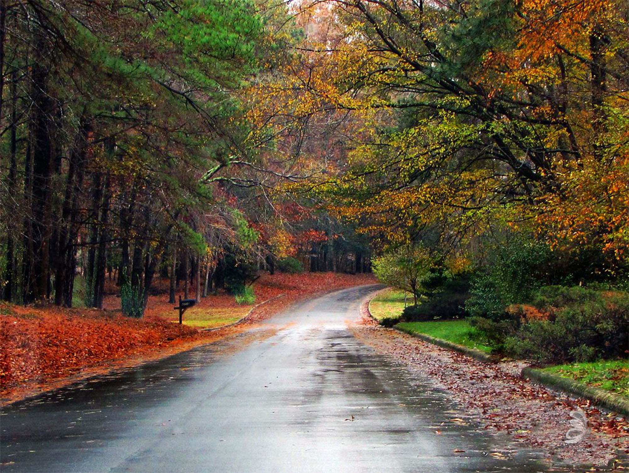 this undiscovered road