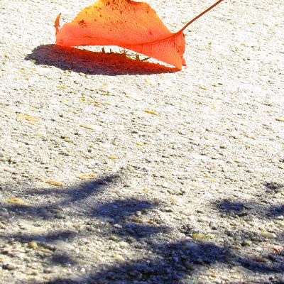 where_and_why (Demo)