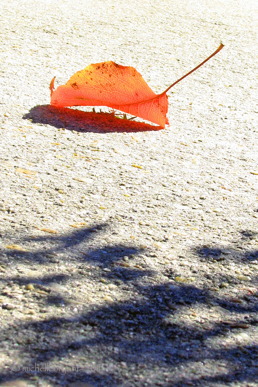 where_and_why (Demo)