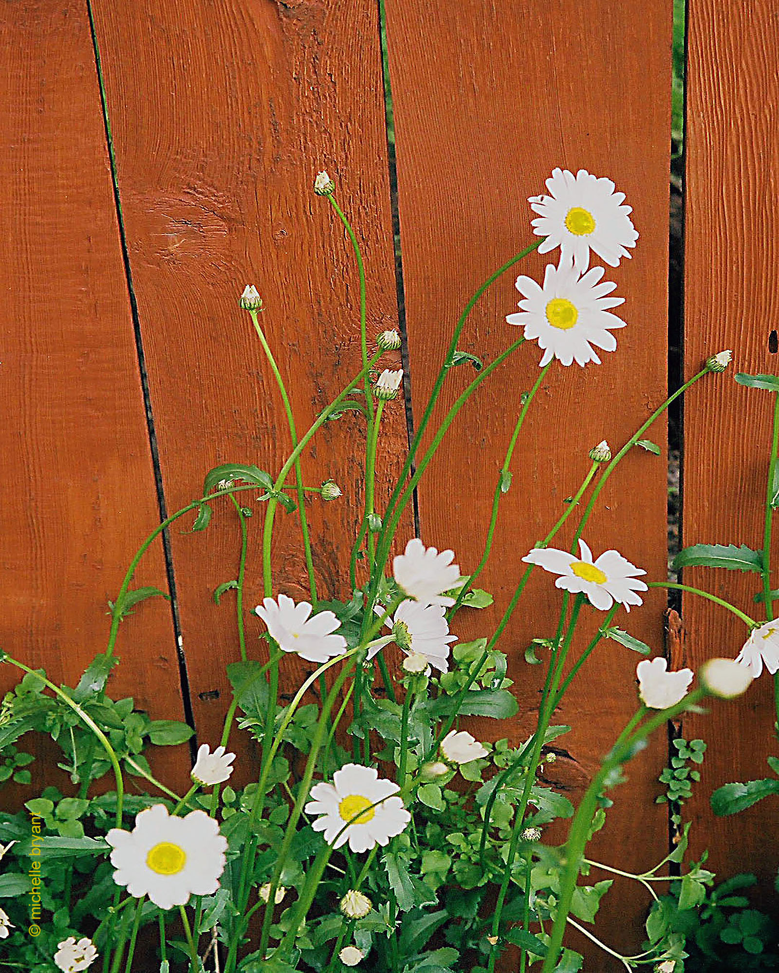 wouldyoubelieve (Demo)