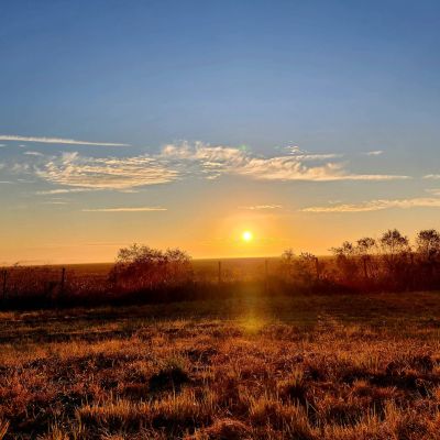 carrying - field and fence