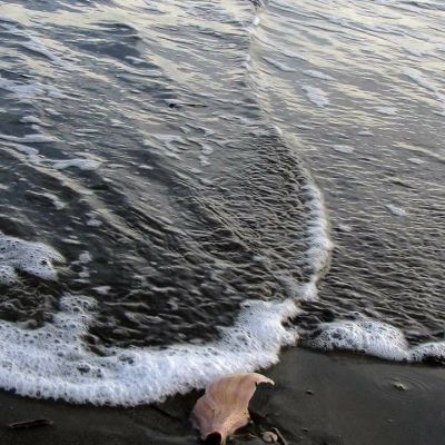 rejoice in the rough