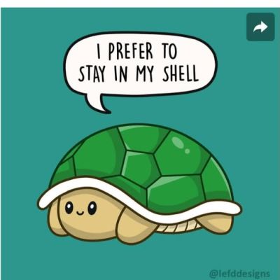 shell